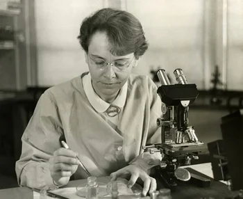 Barbara McClintock — Biography