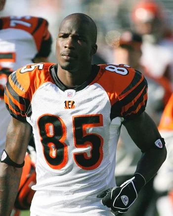 Chad Johnson — Biography