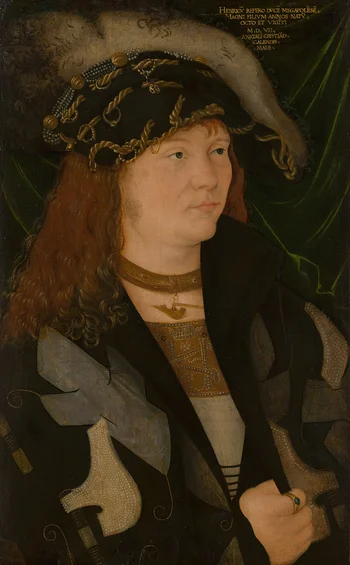 Henry V, Duke of Mecklenburg — Biography