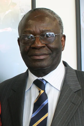 Ibrahim Gambari — Biography