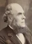Alexander Stuart (Australian politician)