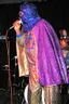 Blowfly (musician)