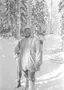 Simo Häyhä