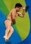 Chris Mears (diver)