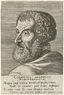 Cornelius Grapheus