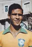 Brito (footballer, born 1939)