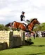 William Fox-Pitt