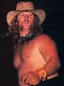 Bill Irwin (wrestler)