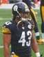 Troy Polamalu