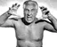 Freddie Blassie