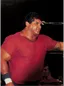 Don Muraco
