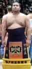 Takayasu Akira