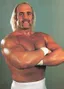 Hulk Hogan