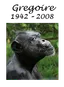 Gregoire (chimpanzee)