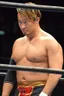 Naomichi Marufuji