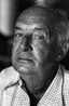 Vladimir Nabokov