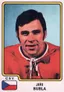 Jiří Bubla