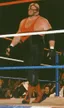 Big Van Vader