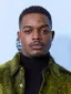 Stephan James (actor)