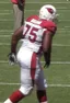 Levi Brown (offensive tackle)