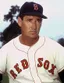 Ted Williams