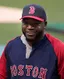David Ortiz