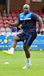 Adebayo Akinfenwa