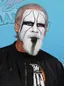 Sting (wrestler)